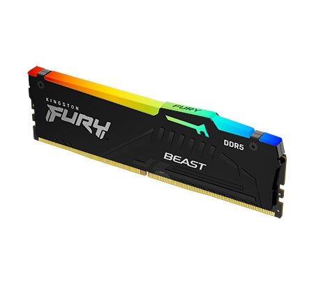 kingston fury 128 gb ddr5 KF556R36RBK8 128