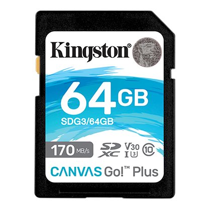kingston technology 64 secure digit SDG3/64GB