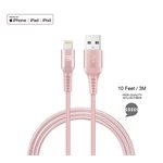 lax lightning cables and adaptors lax LX 10RG