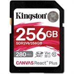 kingston technology 256 secure digit SDR2V6/256GB
